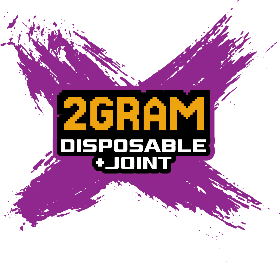 2 Gram Disposable + Joint